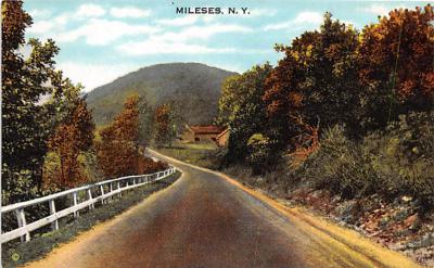 Mileses NY