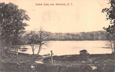 Lake View Sackett Lake, New York Postcard