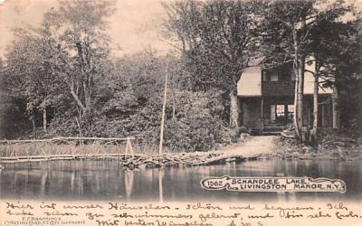 Schandlee Lake Shandelee, New York Postcard