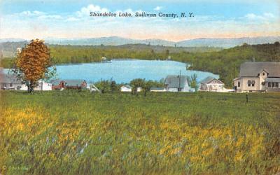 Shandelee Lake New York Postcard