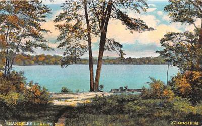 Shandelee Lake New York Postcard