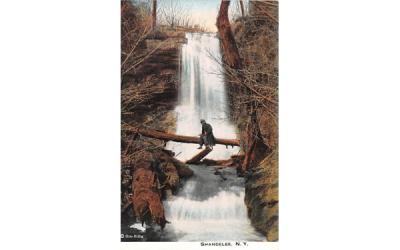 Falls Shandelee, New York Postcard