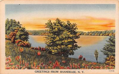 Greetings From Shandelee, New York Postcard