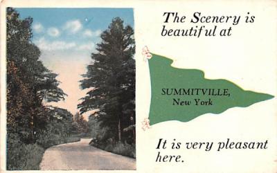 Scenery Summitville, New York Postcard