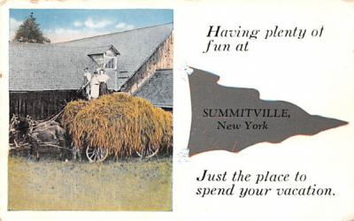 Greetings From Summitville, New York Postcard