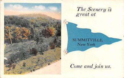 Scenery Summitville, New York Postcard