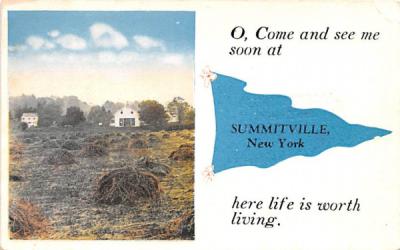 Hay Summitville, New York Postcard