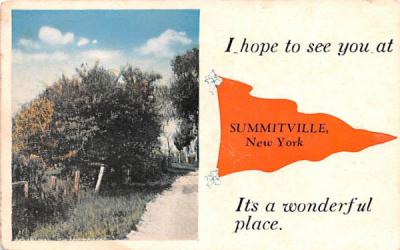 Hope to see you Summitville, New York Postcard