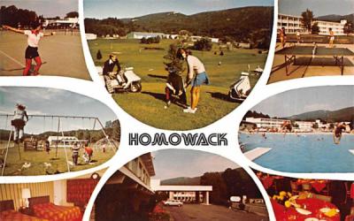 Homowack Lodge Spring Glen, New York Postcard