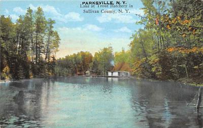 Parksville NY