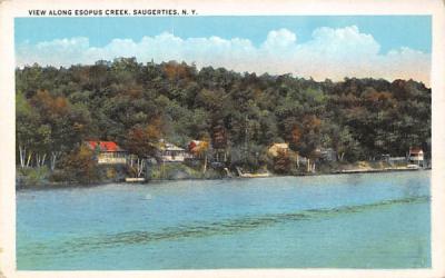 View of Esopus Creek Saugerties, New York Postcard