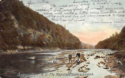 Rapids Espous Creek Saugerties, New York Postcard