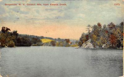Catskill Mts Esopus Creek Saugerties, New York Postcard
