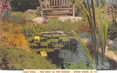 Lily Pool Stone Ridge, New York Postcard