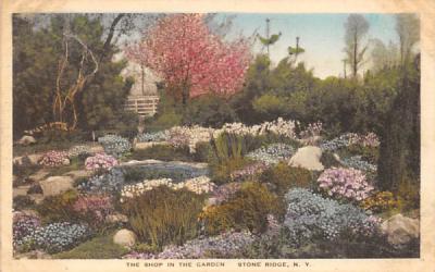 Flowers Stone Ridge, New York Postcard