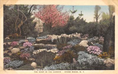 Flowers Stone Ridge, New York Postcard