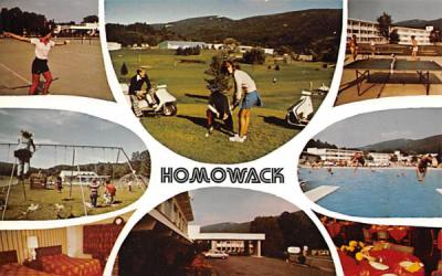 Homowack outdoor sports Spring Glen, New York Postcard