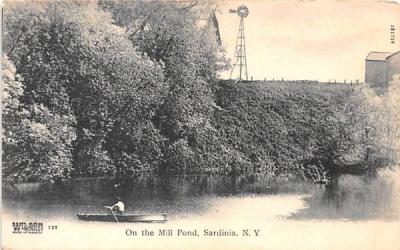 Mill Pond Sardinia, New York Postcard