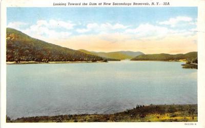 Looking towards the Dam Sacandaga, New York Postcard