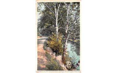 Road to Bloomingdale Saranac Lake, New York Postcard