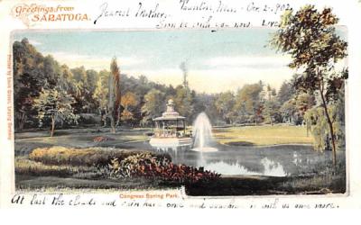 Congress Spring Park Saratoga, New York Postcard