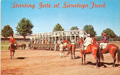 Starting Gate Saratoga, New York Postcard