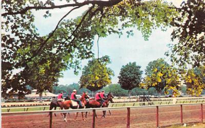 Saratoga Race Track New York Postcard