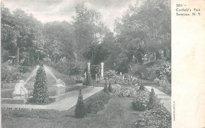Canfield's Park Saratoga, New York Postcard