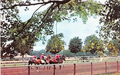 Saratoga Race Track New York Postcard