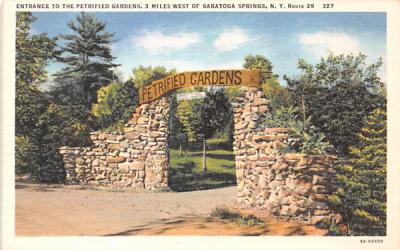 Petrified Gardens Saratoga Springs, New York Postcard