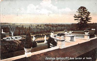 Rose Garden Saratoga Springs, New York Postcard