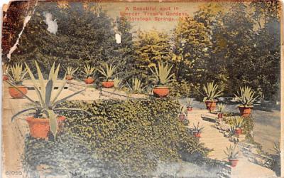 Spencer Trask's Gardens Saratoga Springs, New York Postcard