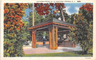 Hathorn Spring No. 3 Saratoga Springs, New York Postcard