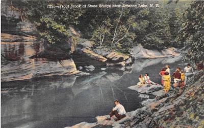 Trout Brook Schroon Lake, New York Postcard