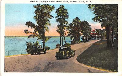 Cayuga Lake State Park Seneca Falls, New York Postcard