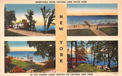 Greetings From Seneca Falls, New York Postcard