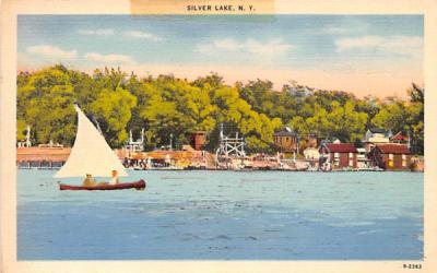 Water View Silver Lake, New York Postcard
