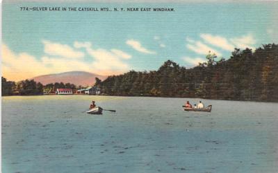Catskill Mountains Silver Lake, New York Postcard