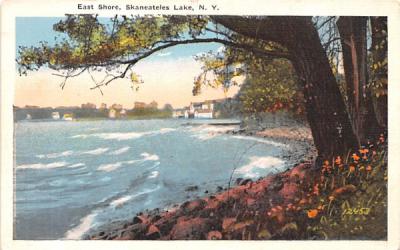 East Shore Skaneateles Lake, New York Postcard