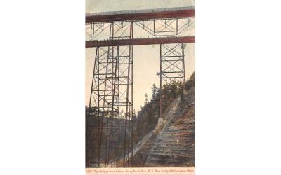 Bridges form Below Stony Brook Glen, New York Postcard