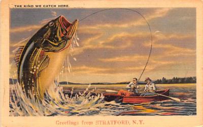 The Kind we Catch Here Stratford, New York Postcard