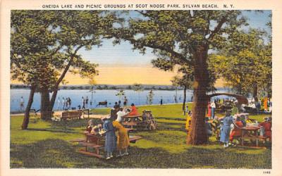 Oneida Lake & Picnic Grounds Sylvan Beach, New York Postcard
