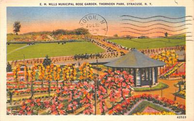 EM Mills Municipal Rose Garden Syracuse, New York Postcard
