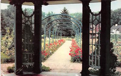 Mill Rose Garden Syracuse, New York Postcard