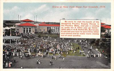New York State Fair Postcard