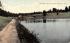 Churchill Lake & Park Stamford, New York Postcard