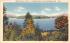 Eagle Island Saranac Lake, New York Postcard