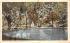 City Park Saratoga Springs, New York Postcard