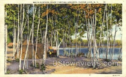 White Birches, State Camping Grounds - Tupper Lake, New York NY Postcard