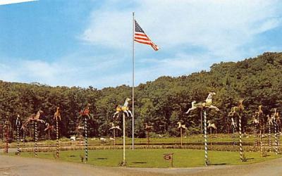 Sterling Forest Gardens Tuxedo, New York Postcard